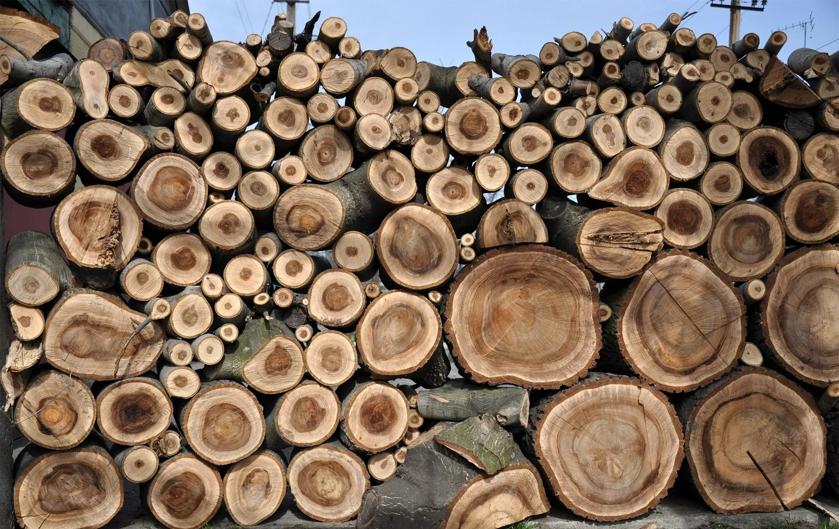 Australian hardwood timber at Platypus Timbers